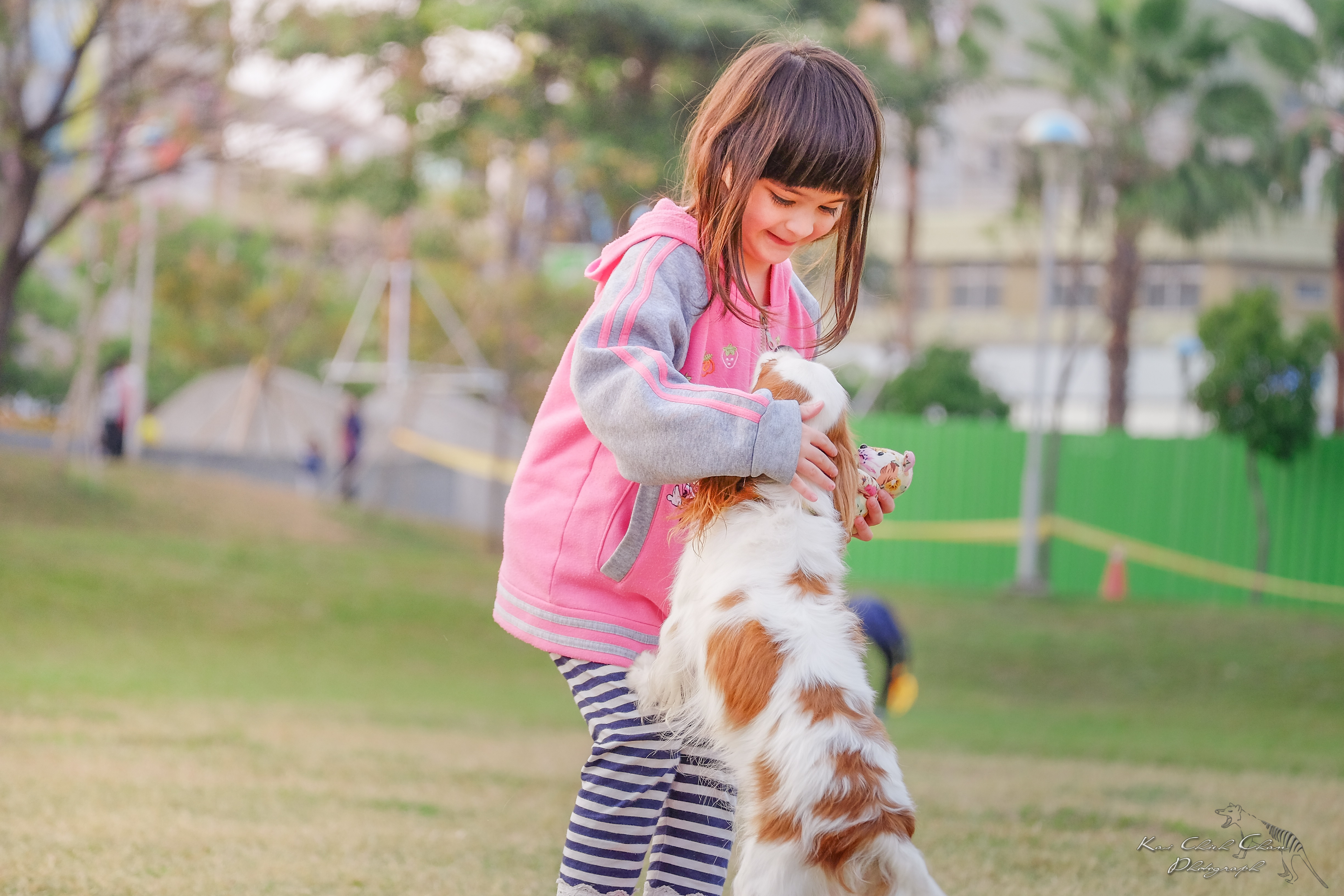 老犬也需要遊戲和稱讚來保持年輕的心